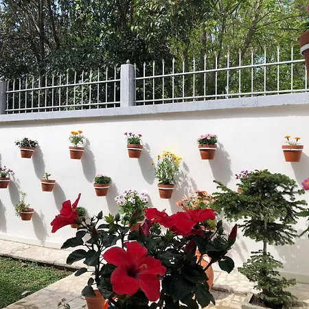 Ramo's Charming With Sunlit Veranda - 1st