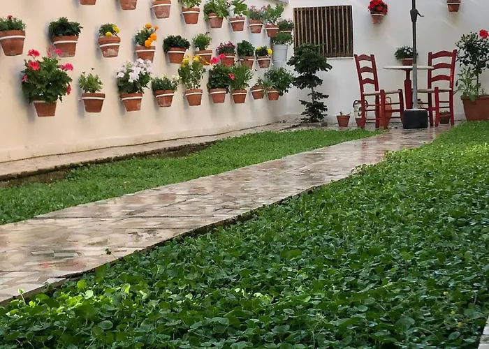 Ramo's Charming With Sunlit Veranda - 1st Appartement *